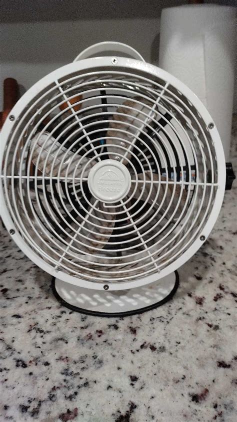 where can i buy metal house fans|small metal fans for sale.